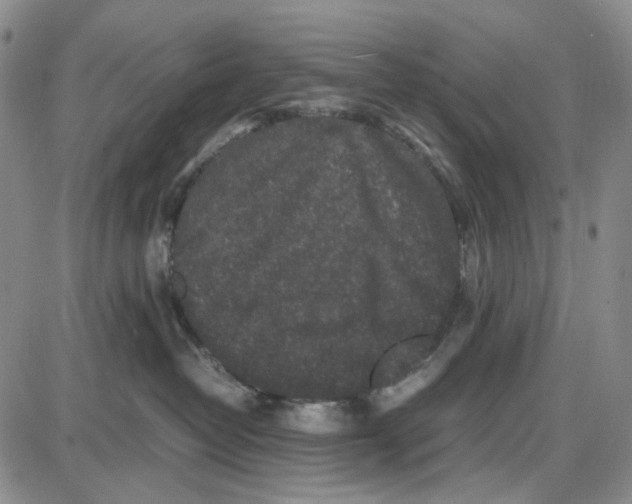 X0000087640382200705241246