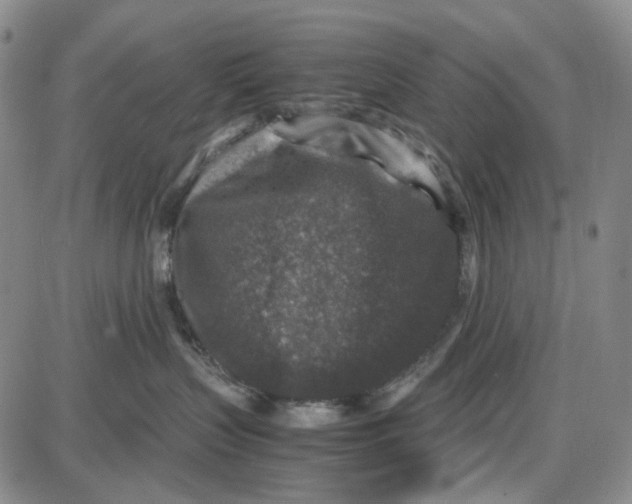 X0000087640383200705241246