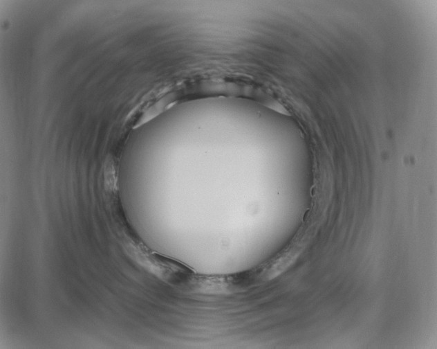 X0000087640384200705241246