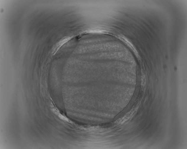 X0000087640385200705241245