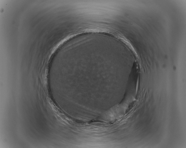 X0000087640387200705241245