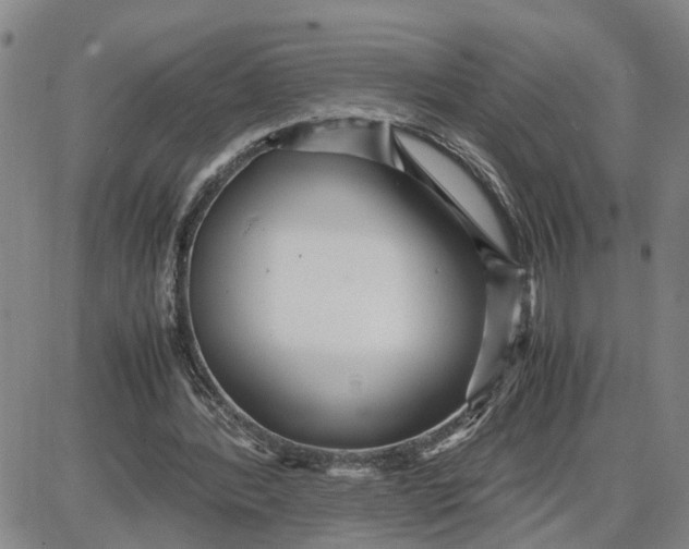 X0000087640388200705241245