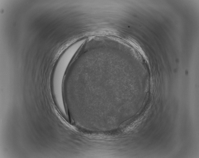 X0000087640389200705241245