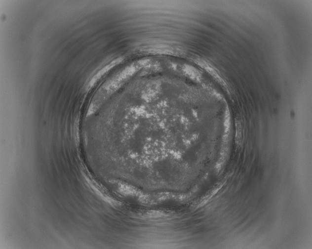 X0000087640390200705241245