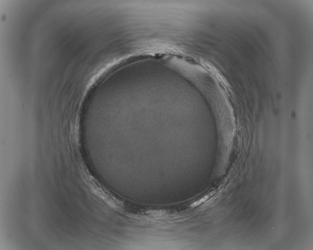 X0000087640391200705241245