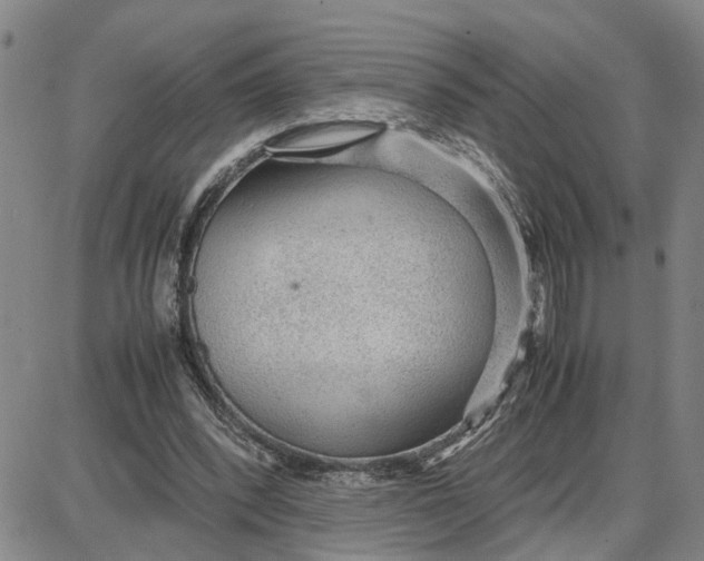 X0000087640392200705241245