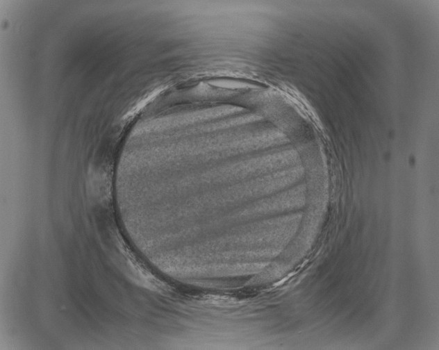 X0000087640393200705241245