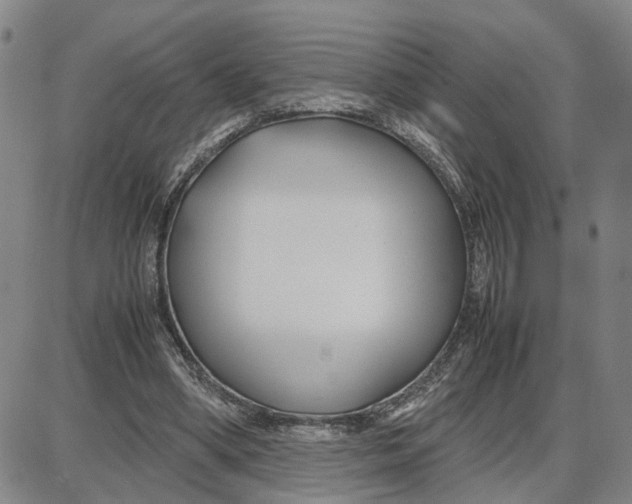 X0000087640394200705241245