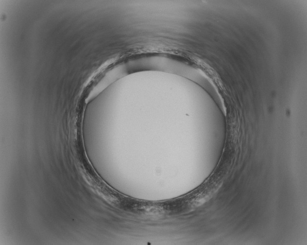 X0000087640395200705241245