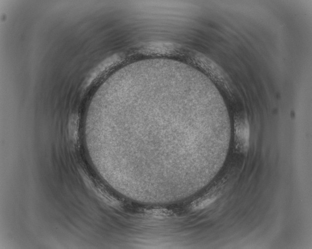 X0000087640396200705241245