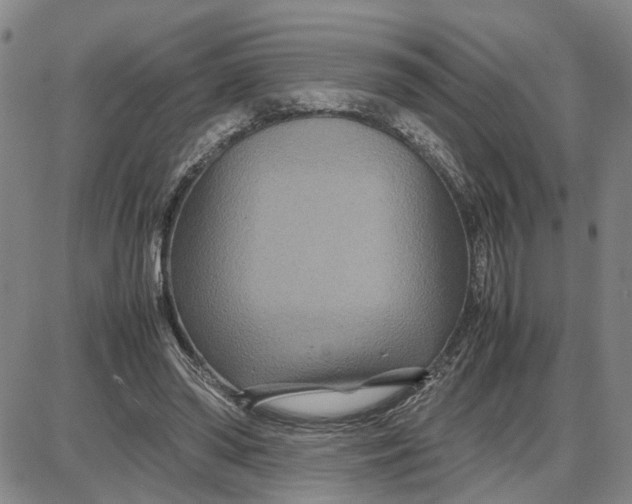 X0000087640398200705241245