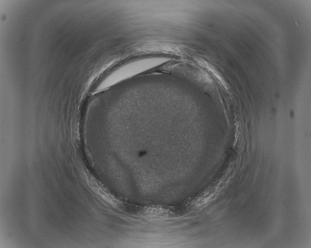 X0000087640399200705241245