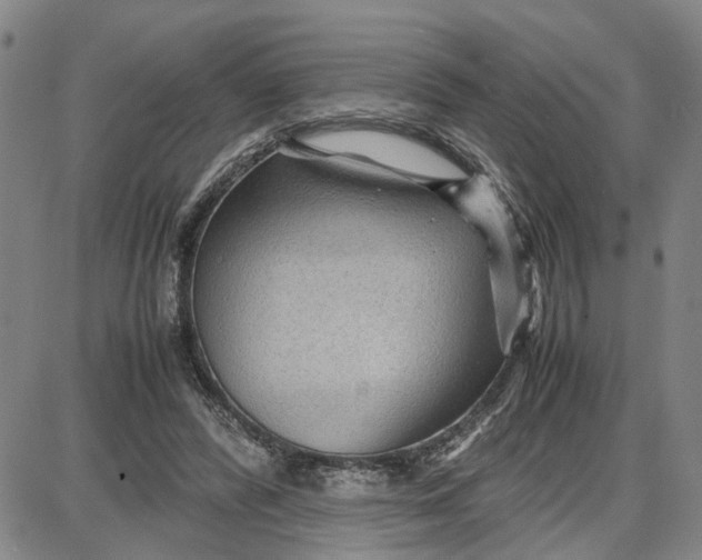 X0000087640400200705241245