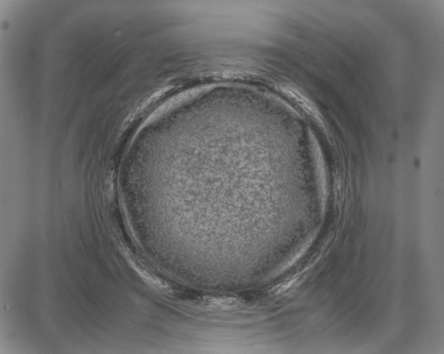 X0000087640401200705241245