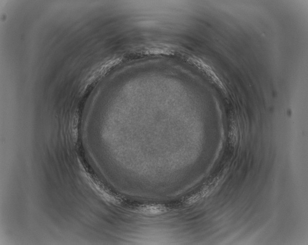 X0000087640402200705241245