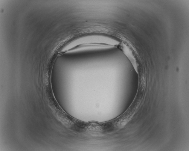 X0000087640403200705241245