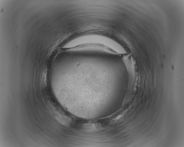 X0000087640404200705241245