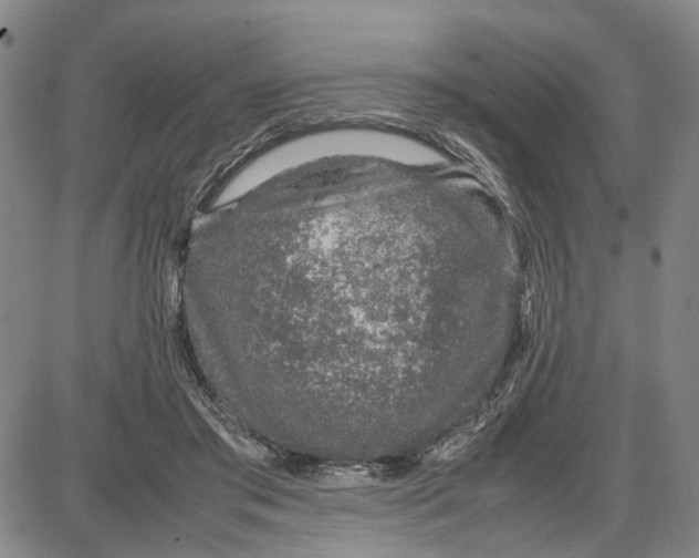 X0000087640405200705241245