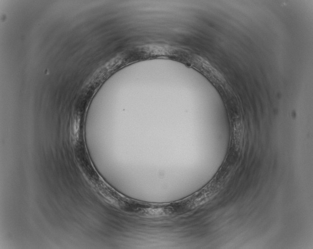 X0000087640406200705241245