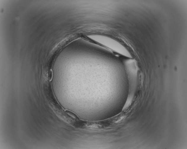 X0000087640407200705241245