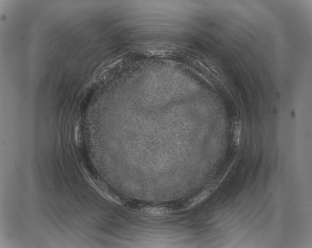 X0000087640408200705241245