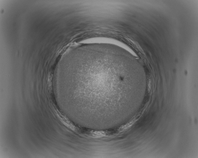 X0000087640409200705241245