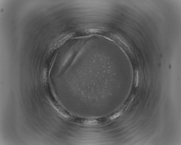 X0000087640410200705241245