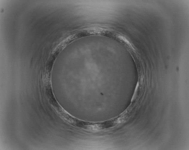 X0000087640411200705241245