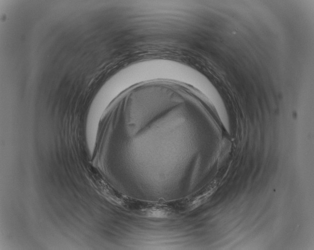 X0000087640412200705241245