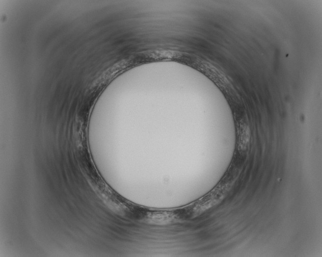 X0000087640414200705241245