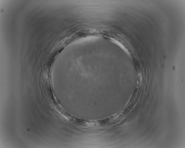 X0000087640415200705241244