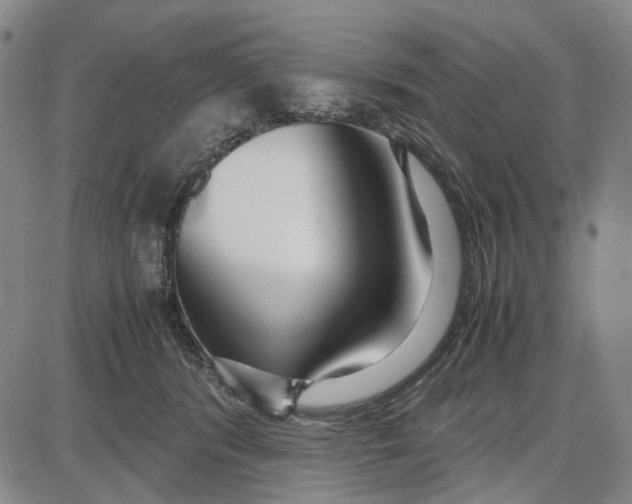 X0000087640416200705241244