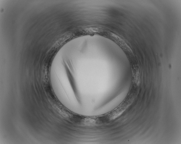 X0000087640418200705241244