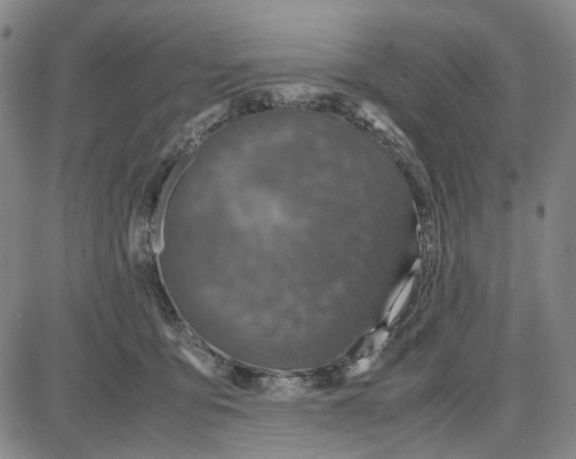 X0000087640419200705241244