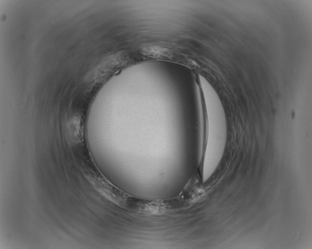 X0000087640420200705241244