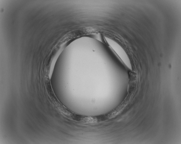 X0000087640421200705241244