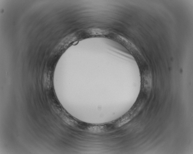 X0000087640422200705241244