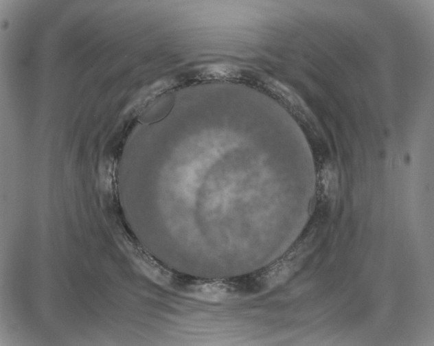 X0000087640423200705241244