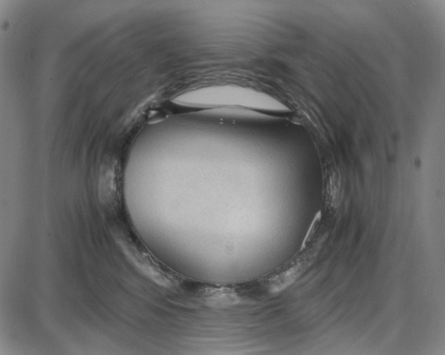 X0000087640424200705241244