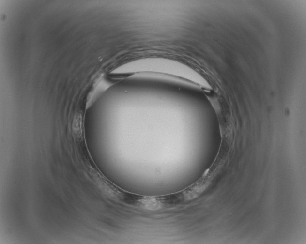 X0000087640425200705241244