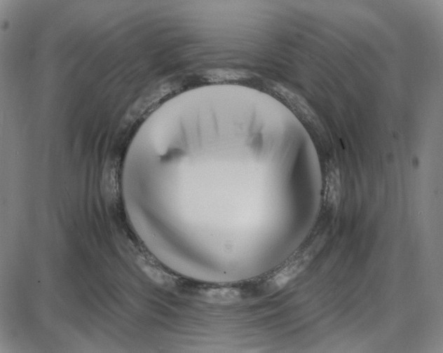 X0000087640426200705241244