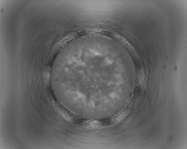 X0000087640427200705241244