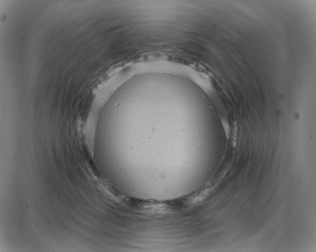 X0000087640428200705241244