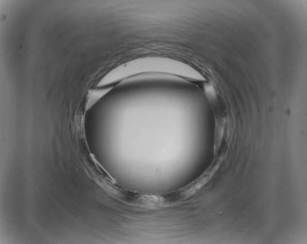 X0000087640429200705241244