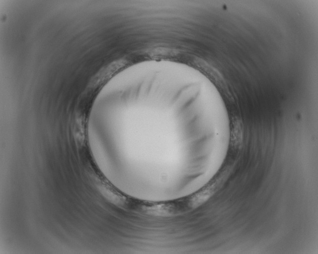 X0000087640430200705241244