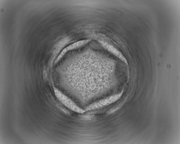 X0000087640432200705241244