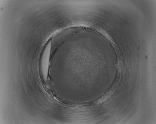 X0000087640434200705241243