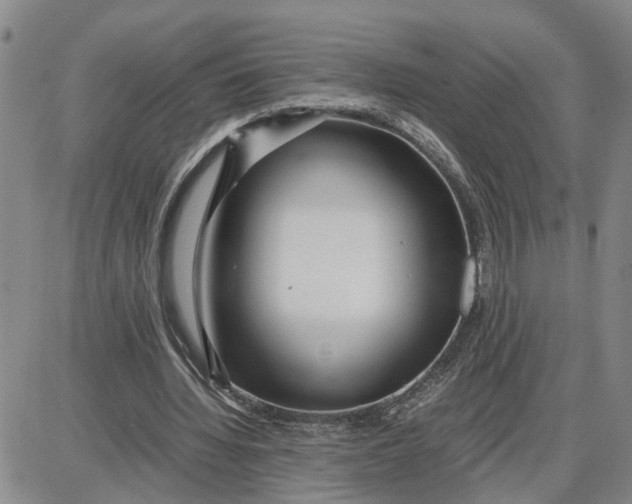 X0000087640436200705241243