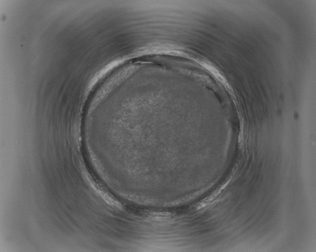 X0000087640438200705241244