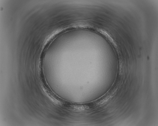 X0000087640439200705241244